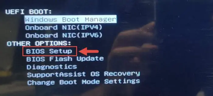 Enter BIOS
