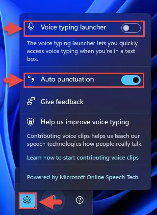 How To Set Up Voice Typing In Windows 11/10 9 auto punc