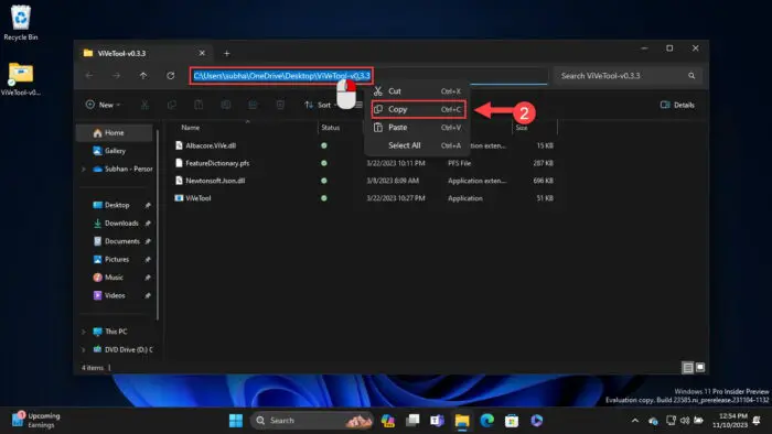 Copy path to extracted ViveTool folder