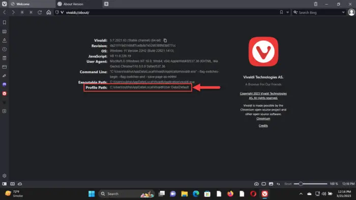 Copy Vivaldis profile path