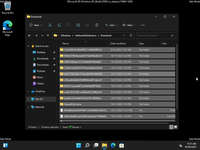 Delete everything inside SoftwareDistributions Download directory 1