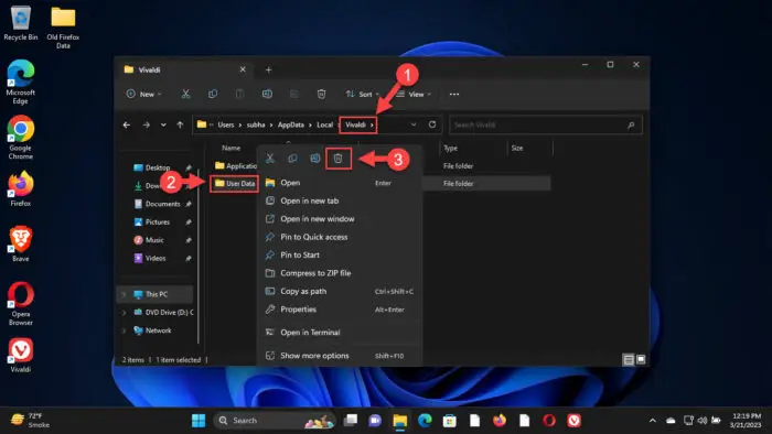 Delete Vivaldi User Data folder