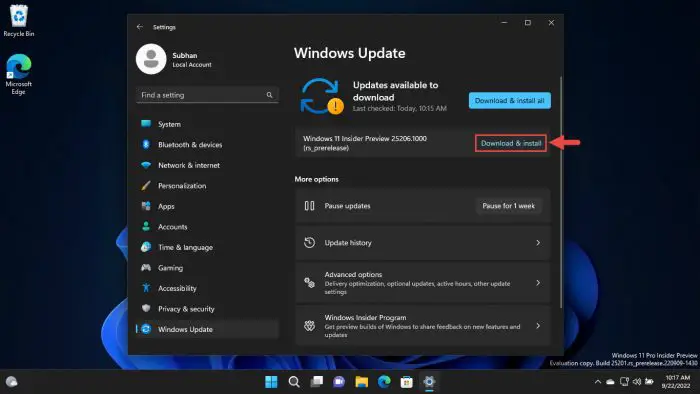 Download and install 3