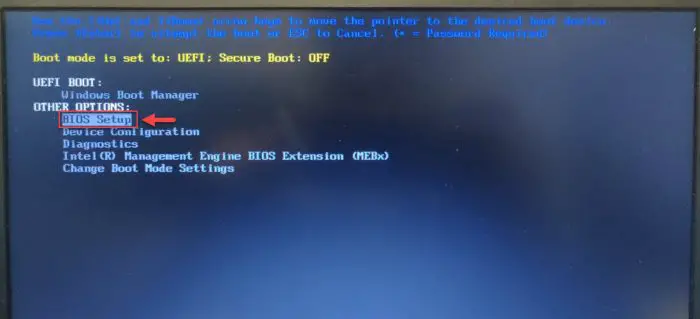 Enter BIOS