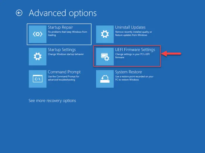 Enter UEFI firmware settings