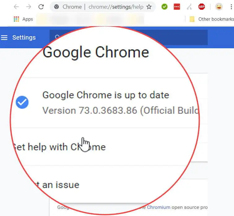 Google Chrome version check