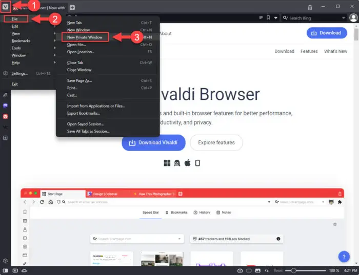 How To Enable, Disable In-Private Browsing In All Browsers 28 Open new private window in Vivaldi