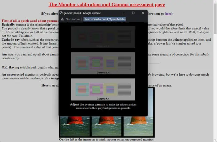 Top 5 Monitor Calibration Tools To Use In 2023 5 PhotoScientia Gamma Assessment page