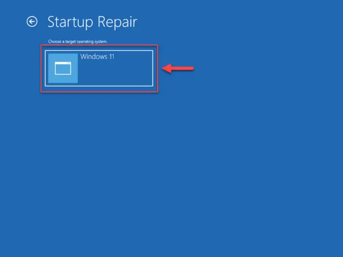 Select OS to repair