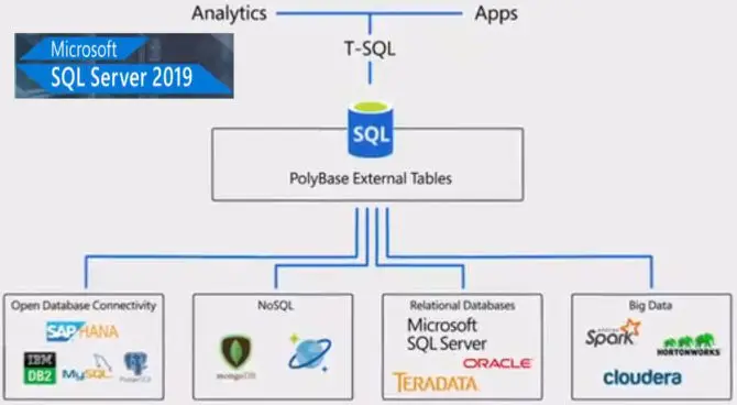 SQL Server 2019