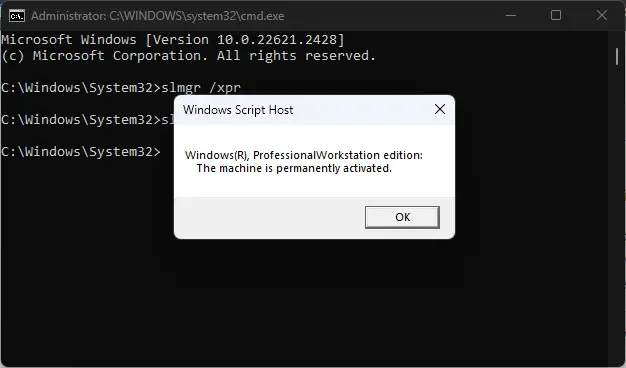 How To Activate Windows 11 5 Windows activation status displayed
