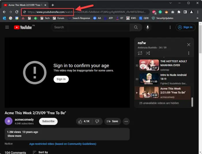 Write www youtubensfw com